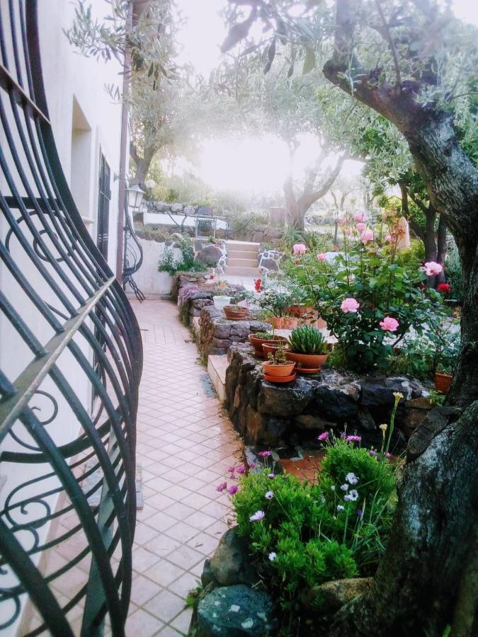 B&B Valverde Dorgali Extérieur photo