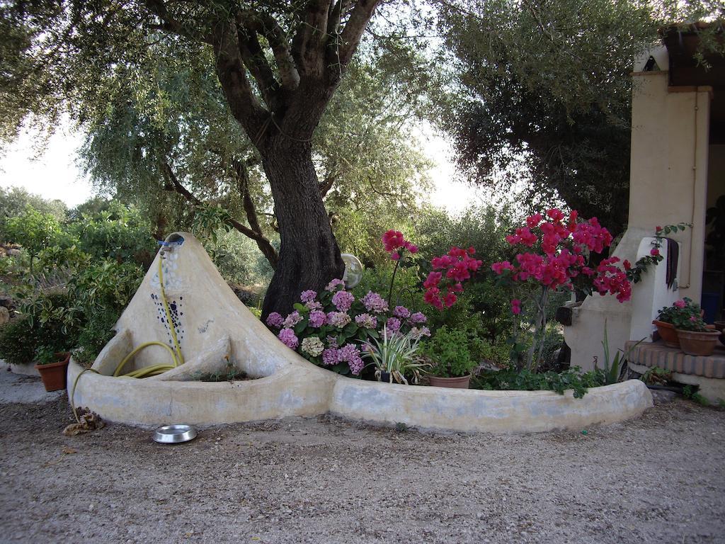 B&B Valverde Dorgali Extérieur photo